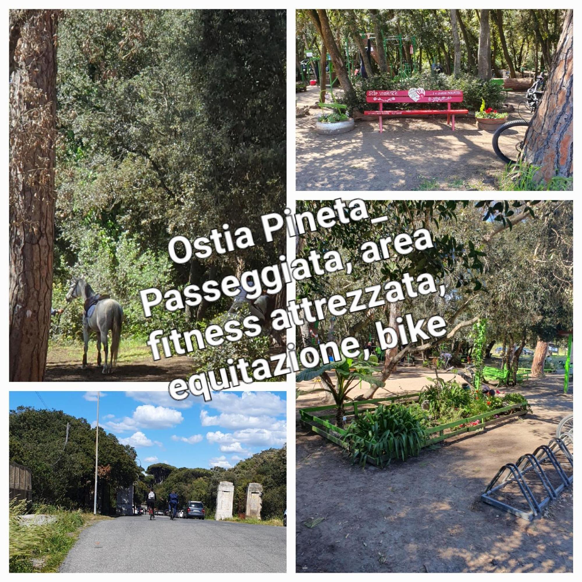 Casa Diana Ostia 아파트 외부 사진